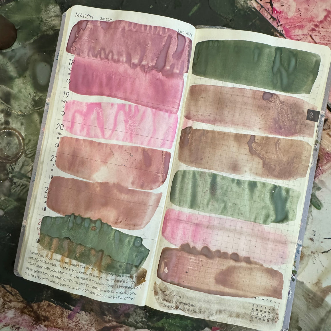 LUMINOUS WINTER botanicals Mineral Wash ink {6-set}