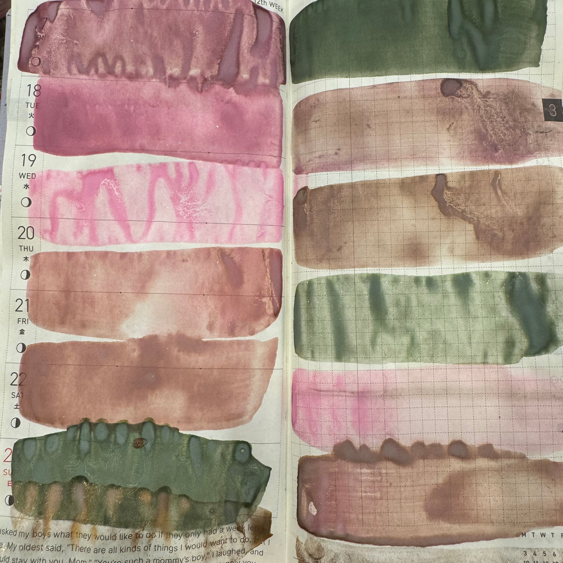 LUMINOUS WINTER botanicals Mineral Wash ink {6-set}